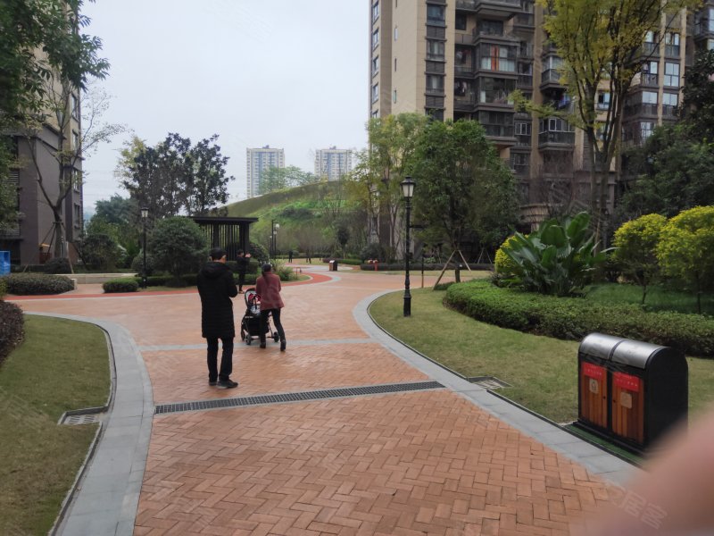 金科中央华府(东区)