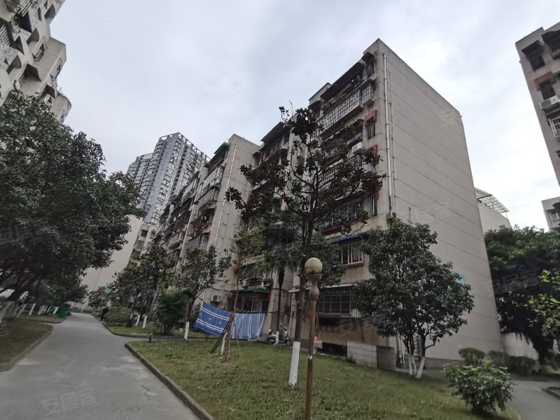 花园小区(涪城),临园路西段5号-绵阳花园小区(涪城)房