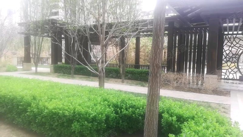 上善颐园芷菱苑,艺术大道-廊坊上善颐园芷菱苑二手房