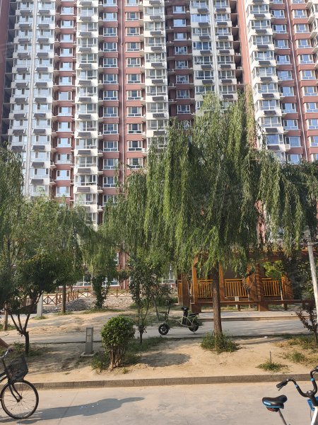 阳光水岸