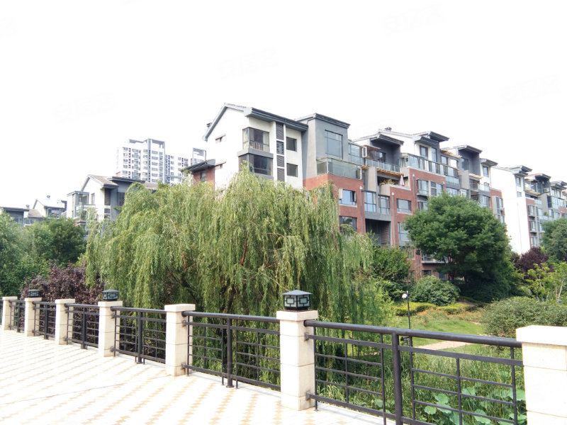 鲁商南池公馆,南池路-济宁鲁商南池公馆二手房,租房