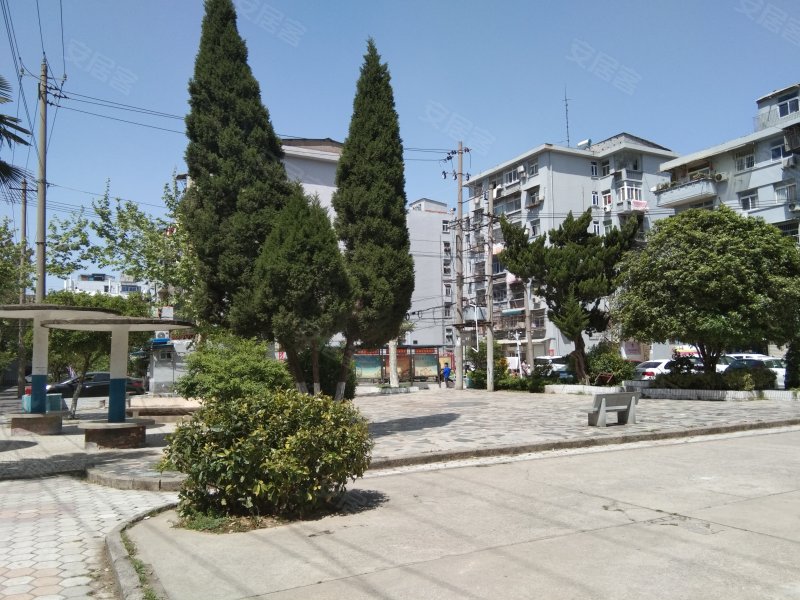 张公山八村,东海路-蚌埠张公山八村二手房,租房,房价-蚌埠安居客