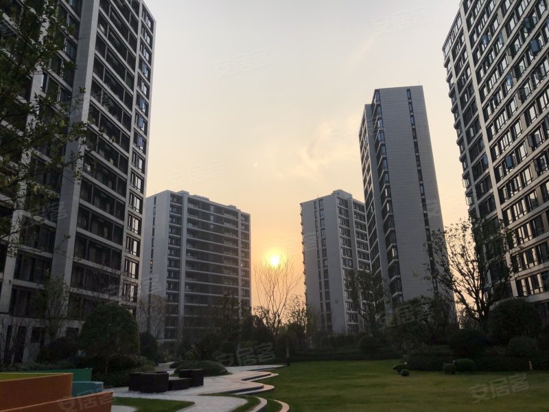 美的融信君兰江山,李渔东路-金华美的融信君兰江山房