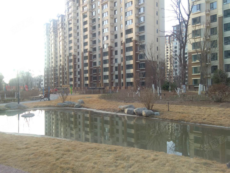建发枫林湾,宁安大街-银川建发枫林湾二手房,租房