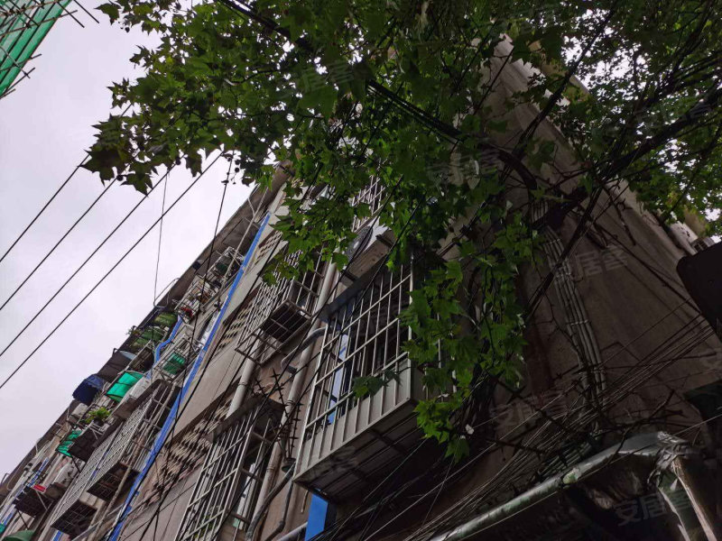 青岛路2-3号院,青岛路2-3号-南京青岛路2-3号院二手房