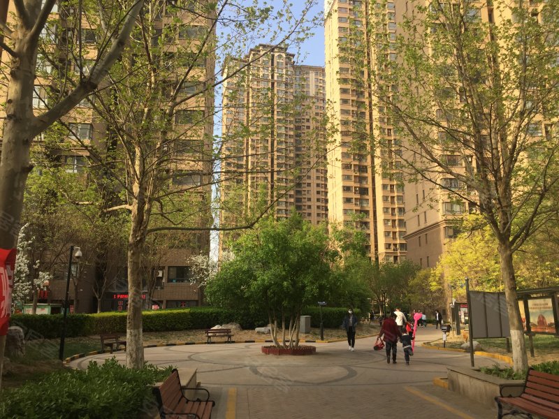 保利上河雅颂(北区),振华西道,近泉保路-衡水保利上河雅颂(北区)二手