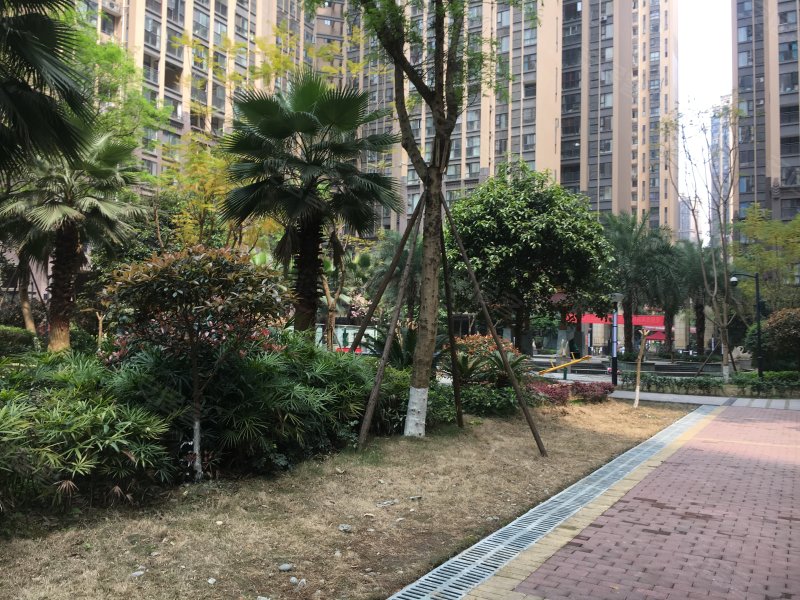 洲际亚洲湾b区