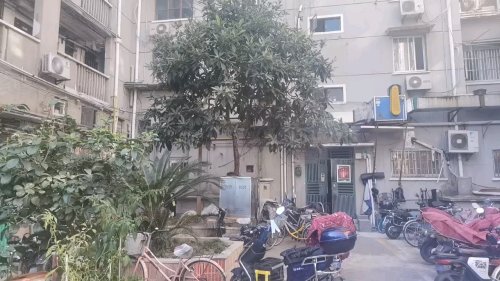 上海房产网>上海小区>黄浦小区>鲁班路小区>斜土路556弄小区>500_281