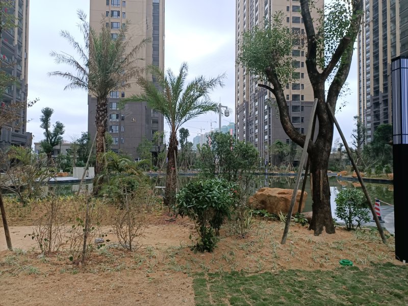 翔栩帝景城,普宁大道,近236省道-合肥翔栩帝景城二手