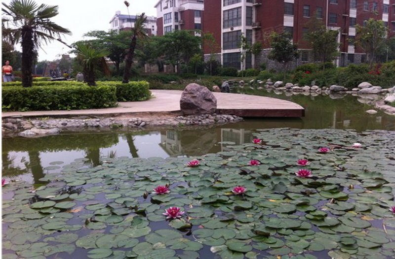 阳光地带花园,紫荆花路311号-杭州阳光地带花园二手房