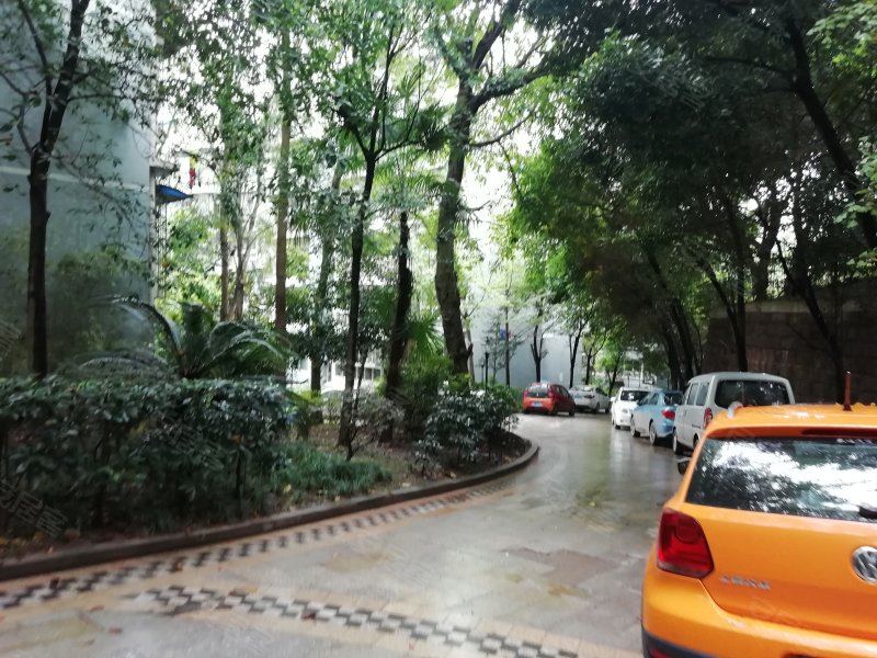 仁和半岛,仁和路中段-自贡仁和半岛二手房,租房,房价