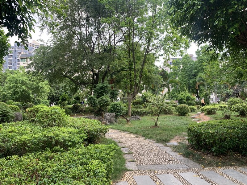翠湖新城(北区)