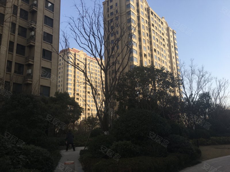 郑开橄榄城(三期),安顺路-开封郑开橄榄城(三期)二手