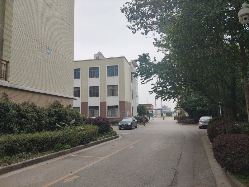 玉林小区,玉林南路,近龙华大道-曲靖玉林小区二手房,租房,房价-曲靖