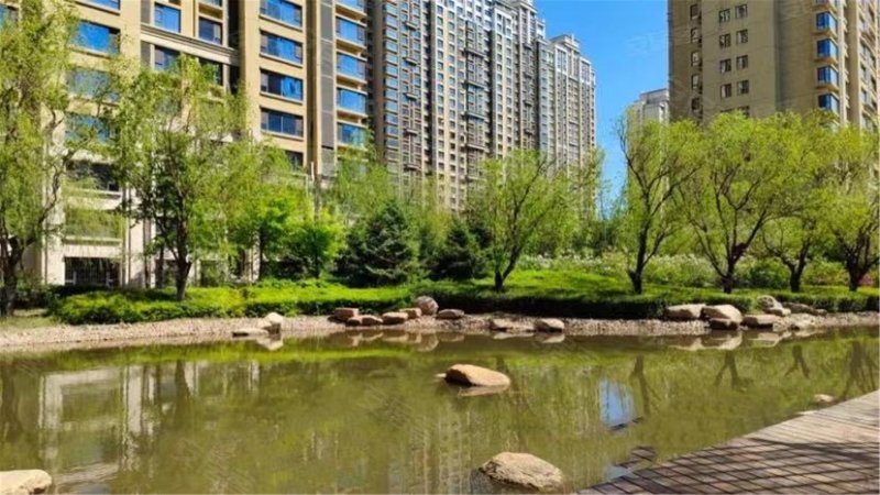 天鹅湾,群力第五大道533号-哈尔滨天鹅湾二手房,租房