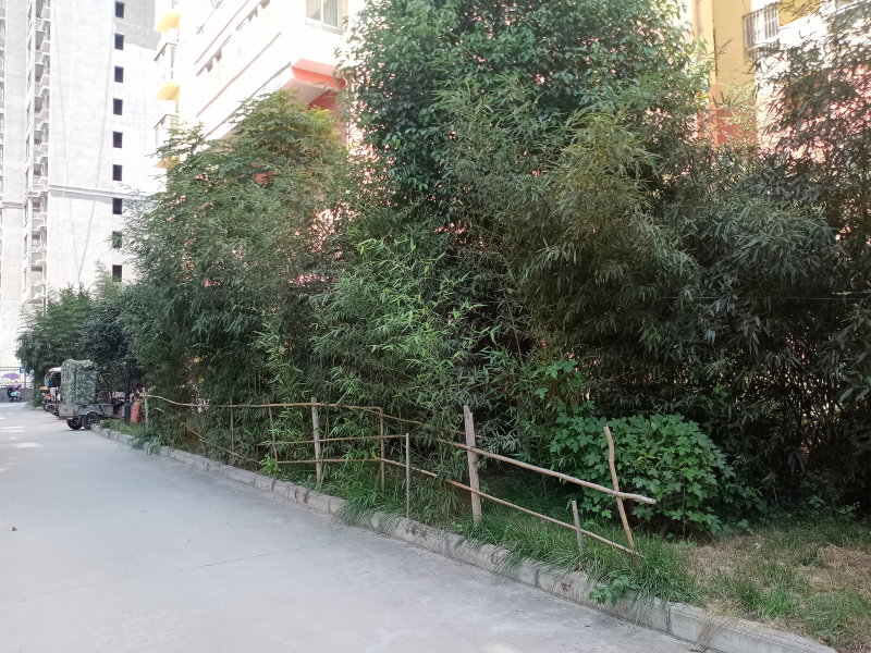 翠竹苑小区,人民路-广州翠竹苑小区二手房,租房,房价-广州安居客