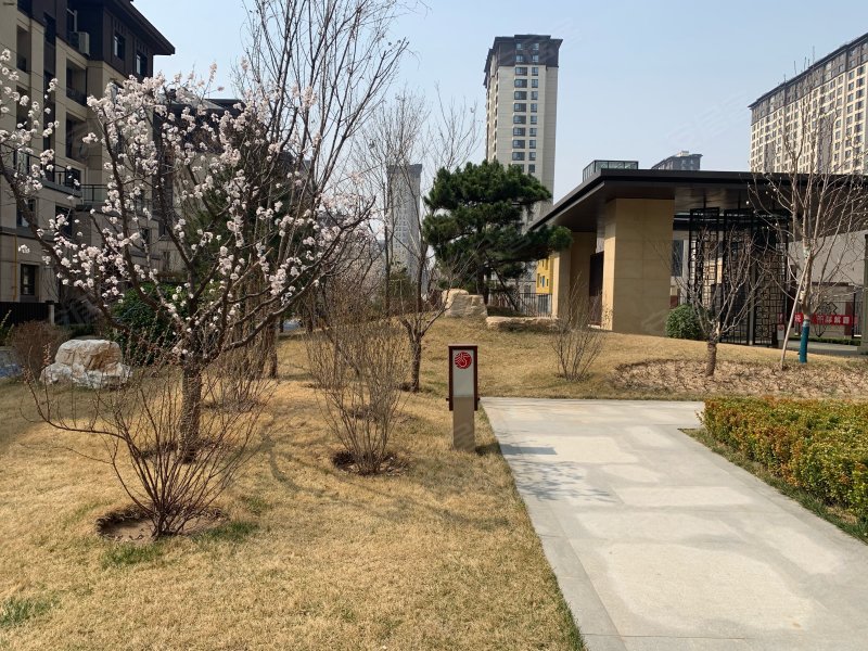 上善颐园含芳苑,艺术大道-廊坊上善颐园含芳苑二手房