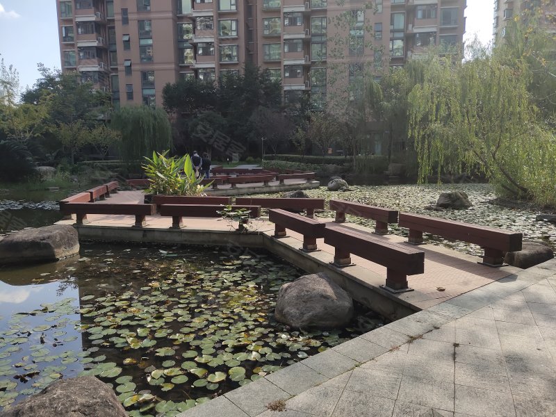 绿洲香岛花园