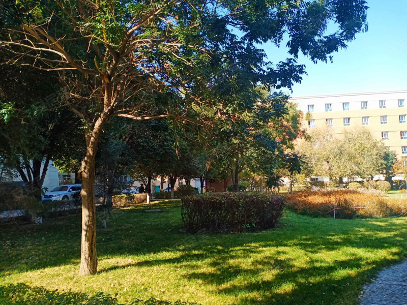 新疆大学北校区家属院
