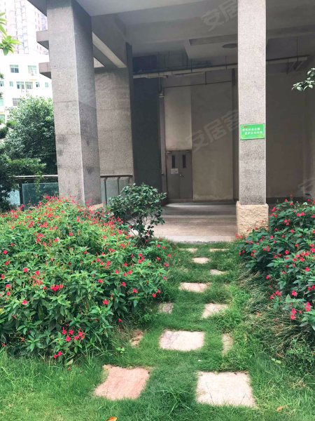 浔兴奥林春天,迎宾路532号-晋江浔兴奥林春天二手房,租房,房价-晋江
