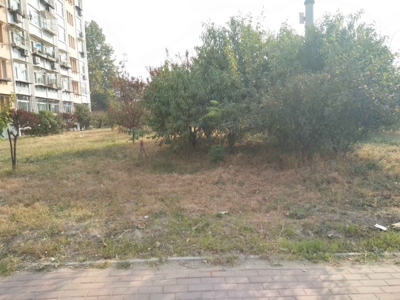 古冶林西北新小区
