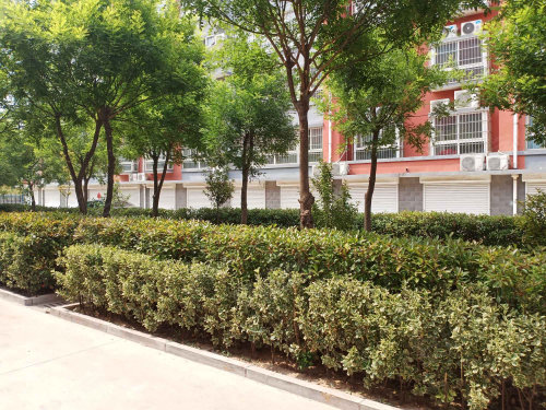 智德家园,合盛路 高唐智德家园二手房,租房,房价-高唐安居客