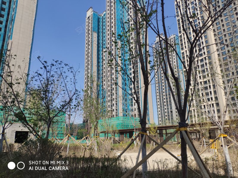 翠竹园,万寿山街,近玄武湖路-乌鲁木齐翠竹园二手房