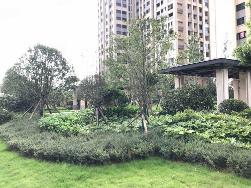 长房半岛蓝湾2室2厅80.8㎡110万二手房图片