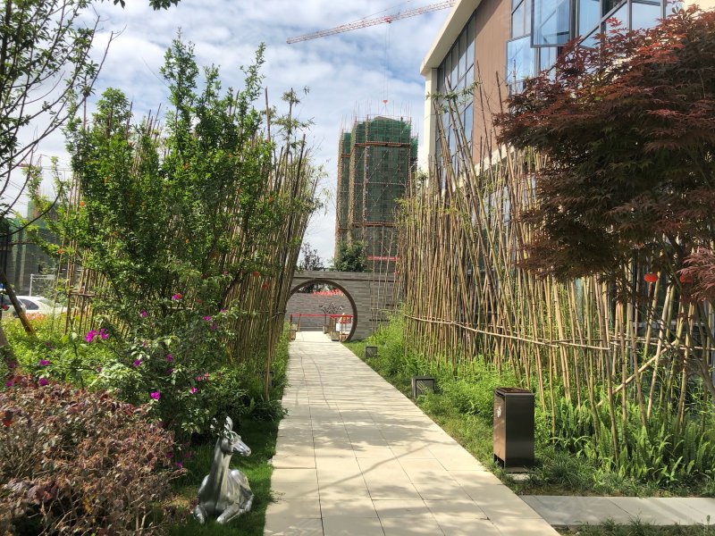 阳光中央公园,玉兰街-德阳阳光中央公园二手房,租房