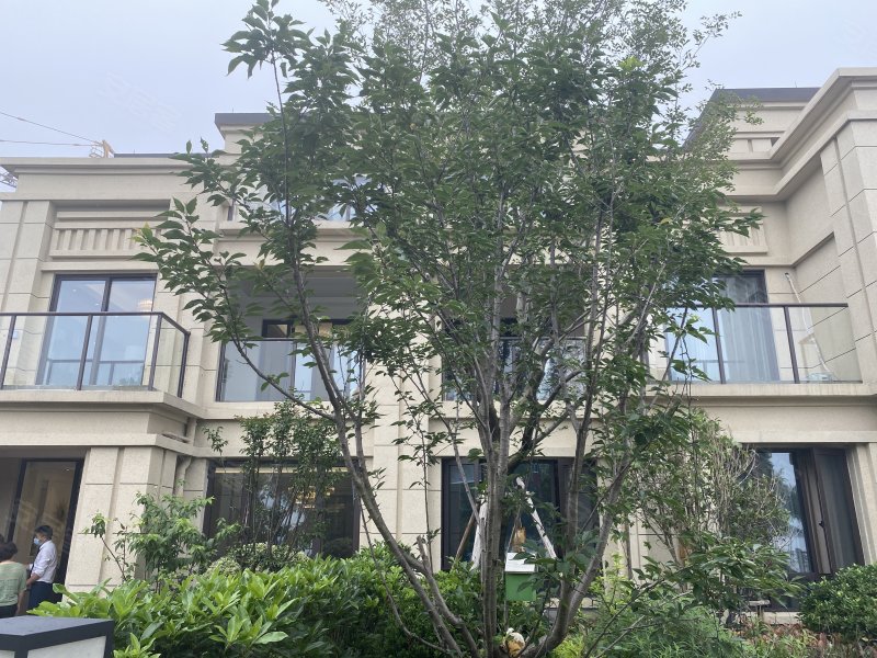 绿城柳岸荷风(别墅),环河路,近金旺路-湖州绿城柳岸荷
