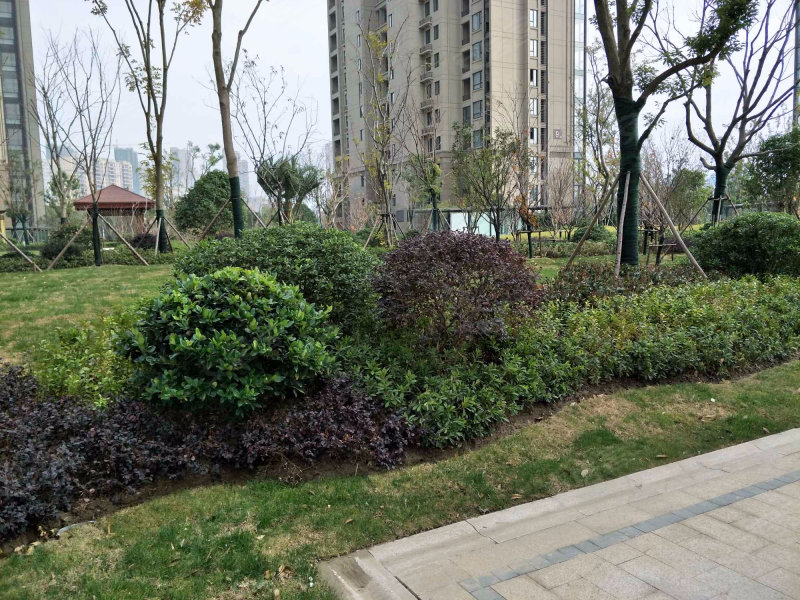 南山湖1号,西湖东路,近湘江北路-南通南山湖1号二手房