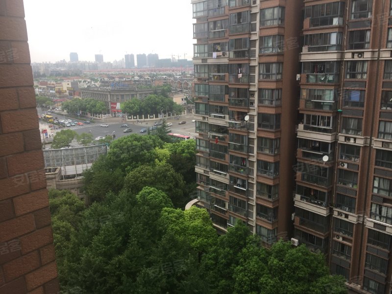 万科假日风景别墅(春申万科城三期)