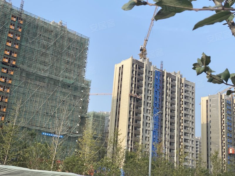 香缇雅苑,星林路-商丘香缇雅苑二手房,租房,房价-商丘安居客