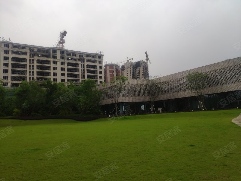 蓝光悦江府(一期),欣悦路260号-重庆蓝光悦江府(一期)