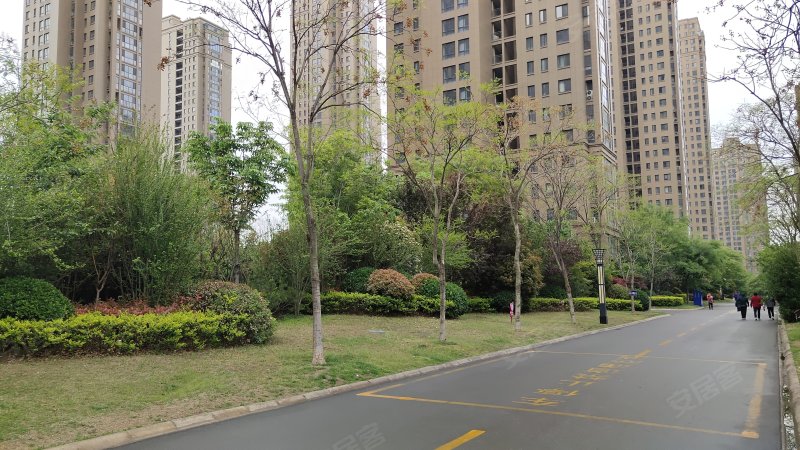 金色兰庭香堤