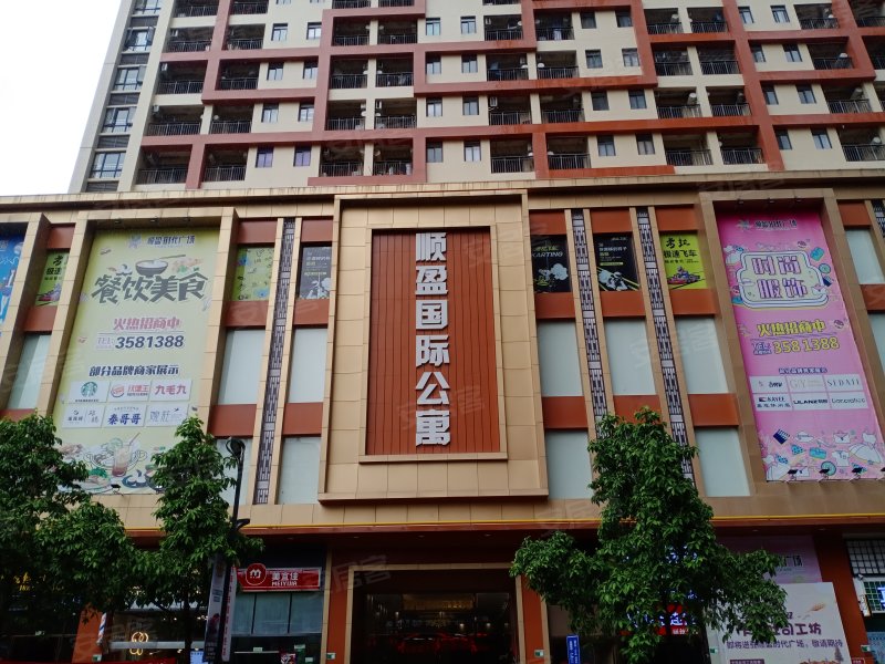 顺盈国际公寓,人民一路-清远顺盈国际公寓二手房,租房
