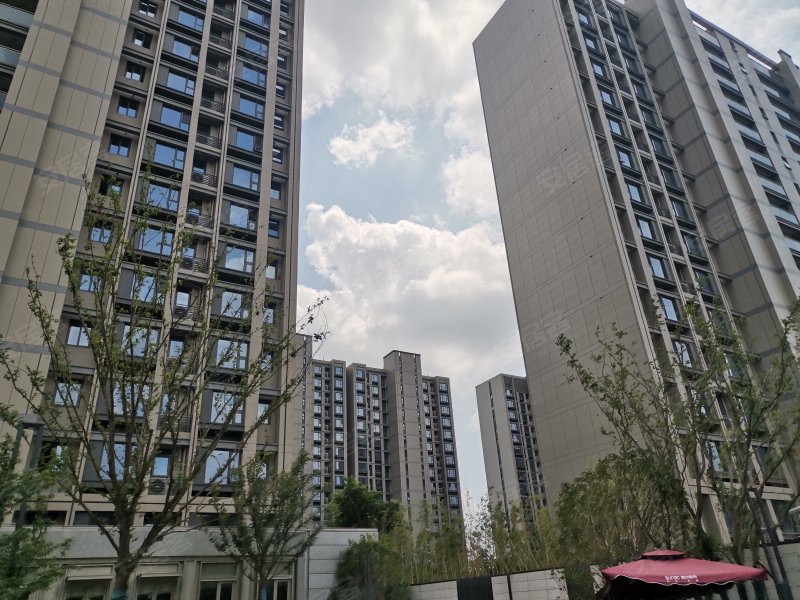 泊云庭,朝阳路33号-苏州泊云庭二手房,租房,房价-苏州