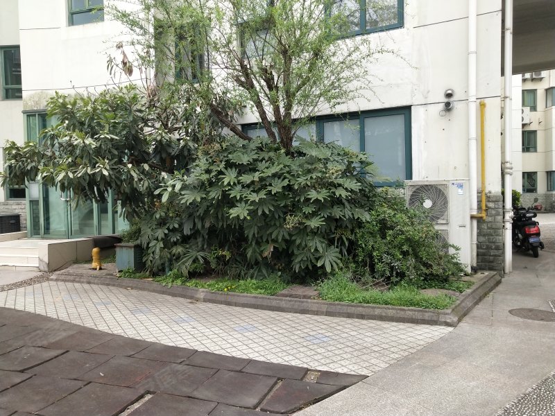 虹桥怡景苑(公寓住宅)