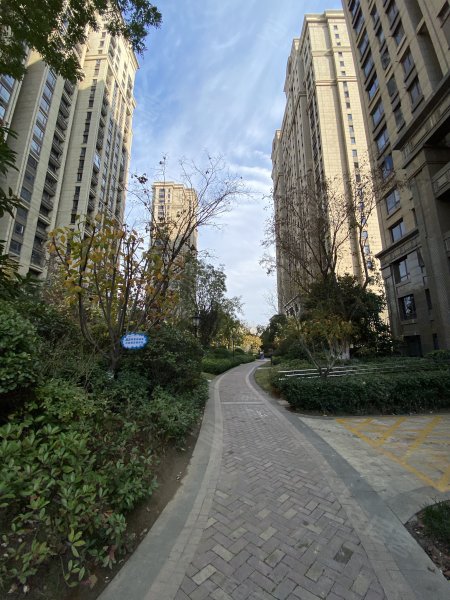 中联创橄榄城伍号院