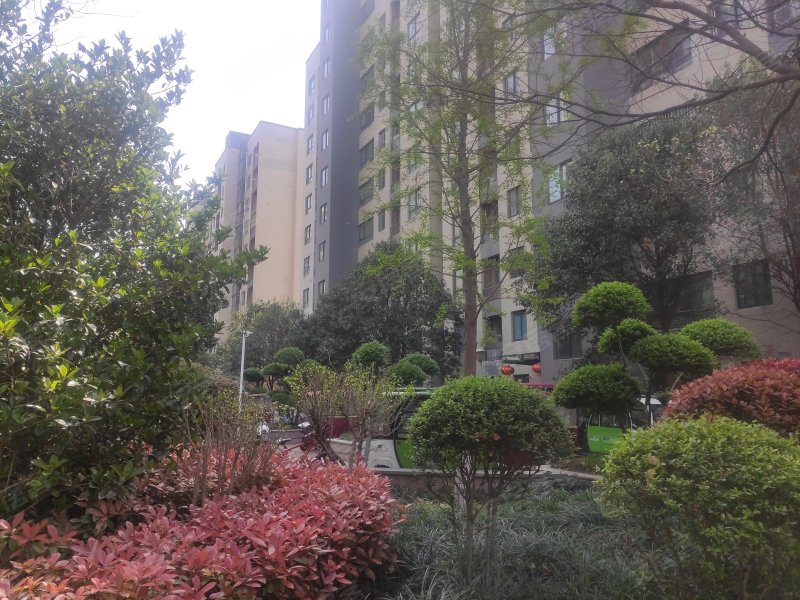 建业桂园,南京东路-商丘建业桂园二手房,租房,房价