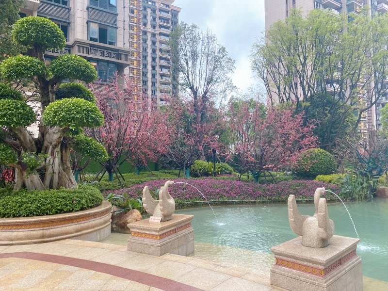 恒大珺睿府,华园路2号-柳州恒大珺睿府二手房,租房