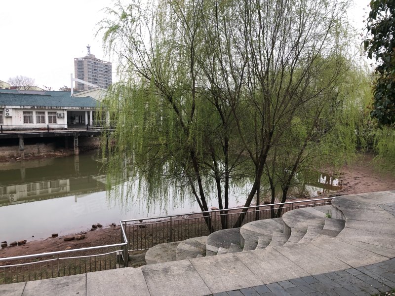 柳湖花园,丹光西路118号-金华柳湖花园二手房,租房,房价-金华安居客