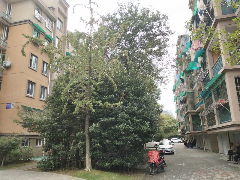兴华西苑,兴华路169号-衢州兴华西苑二手房,租房,房价-衢州安居客