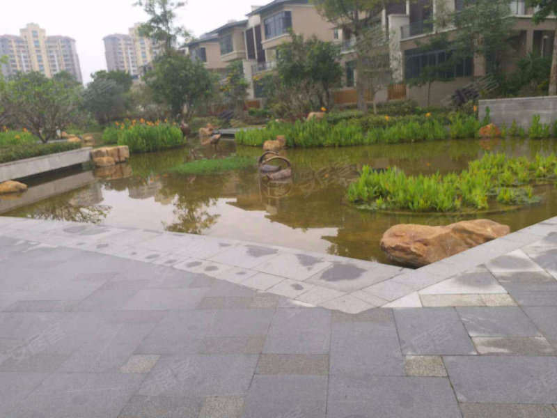 雅居乐小院流溪