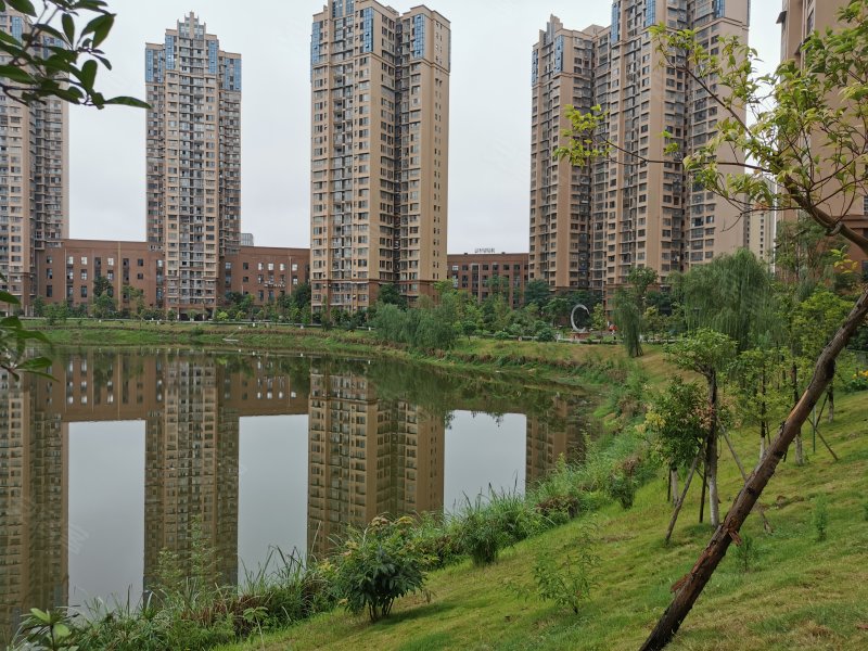 南湖半岛,玫瑰大道263号-遂宁南湖半岛二手房,租房,房价-遂宁安居客