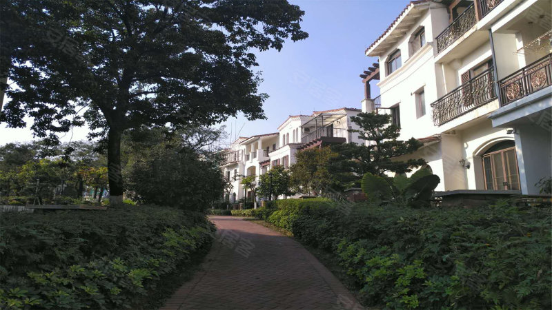 中信森林湖(别墅),东莞大道-东莞中信森林湖(别墅)房