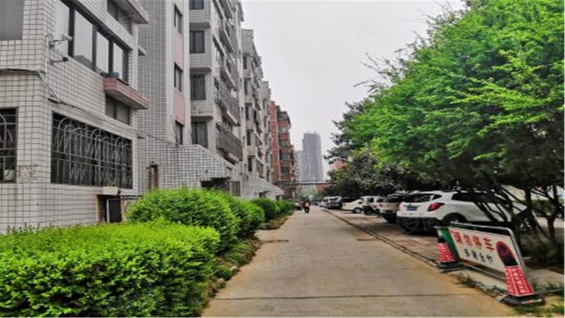 兴隆花园(涧西),寨南路3号-洛阳兴隆花园(涧西)二手房,租房,房价-洛阳