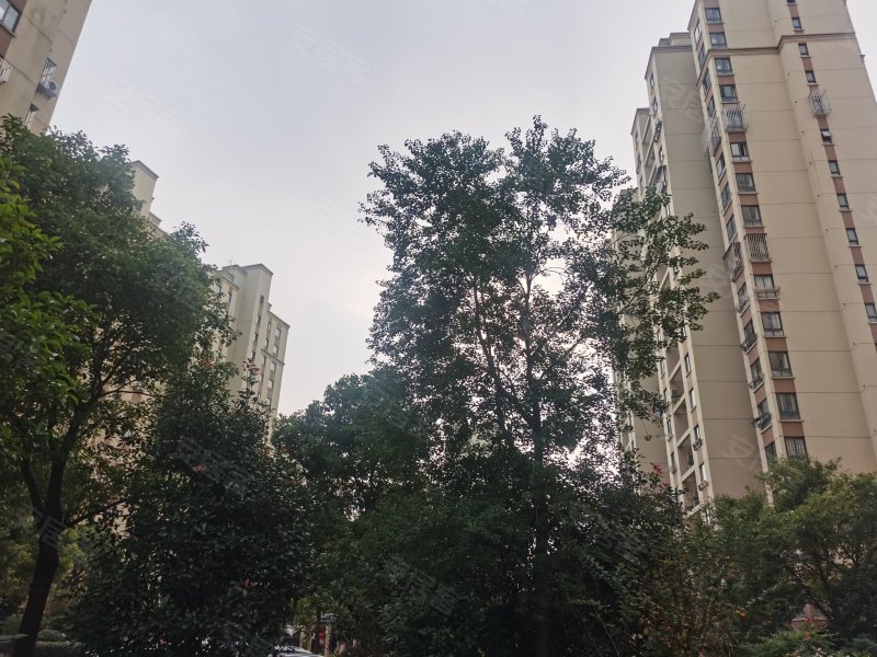 永康城丹桂苑,永恩路80弄-上海永康城丹桂苑二手房