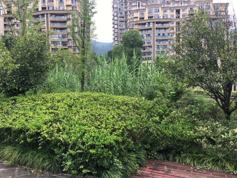 中驰香蜜园,丽阳街1299号-丽水中驰香蜜园二手房,租房,房价-丽水安居