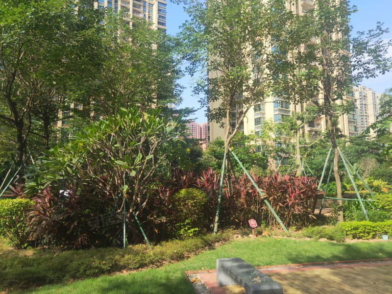 中澳滨河湾(五期六期),悦秀街15号-中山中澳滨河湾(五